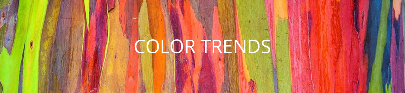 Colorful Inspirations Natural Color Color Trends forecasting and color palettes