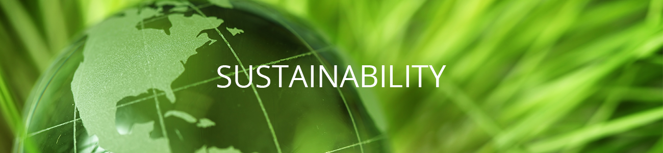 CCI sustainability practices, Green color production, eco-friendly procedures